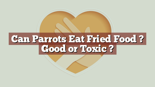 Can Parrots Eat Fried Food ? Good or Toxic ?