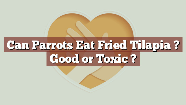 Can Parrots Eat Fried Tilapia ? Good or Toxic ?