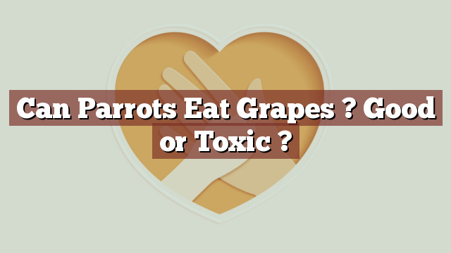 Can Parrots Eat Grapes ? Good or Toxic ?