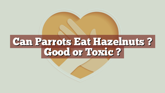 Can Parrots Eat Hazelnuts ? Good or Toxic ?