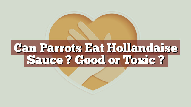 Can Parrots Eat Hollandaise Sauce ? Good or Toxic ?