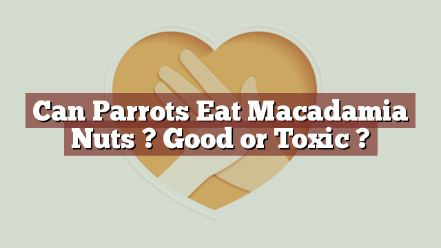 Can Parrots Eat Macadamia Nuts ? Good or Toxic ?