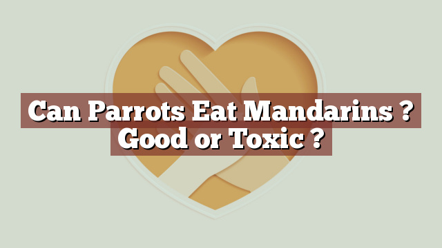 Can Parrots Eat Mandarins ? Good or Toxic ?