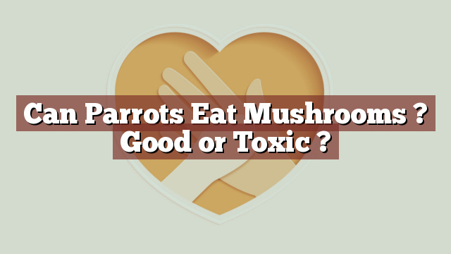 Can Parrots Eat Mushrooms ? Good or Toxic ?
