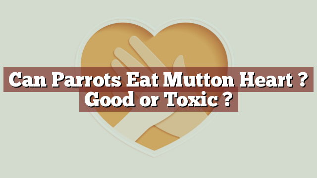 Can Parrots Eat Mutton Heart ? Good or Toxic ?