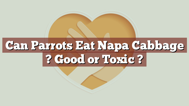 Can Parrots Eat Napa Cabbage ? Good or Toxic ?