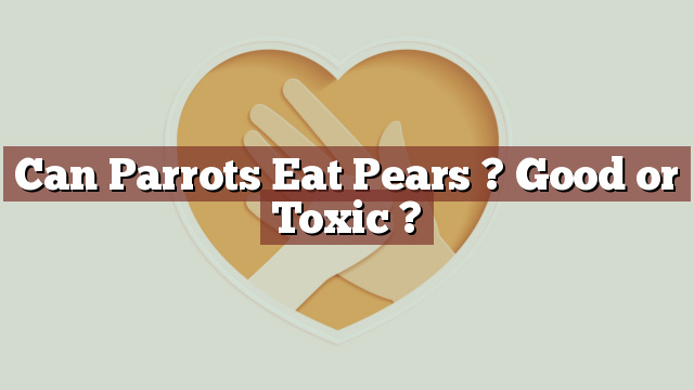 Can Parrots Eat Pears ? Good or Toxic ?