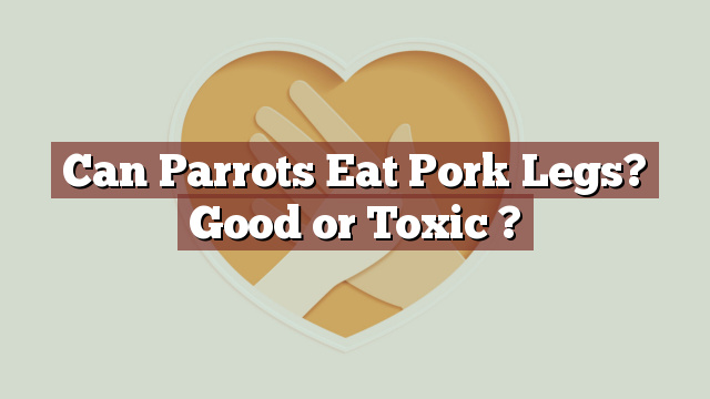 Can Parrots Eat Pork Legs? Good or Toxic ?