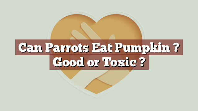 Can Parrots Eat Pumpkin ? Good or Toxic ?