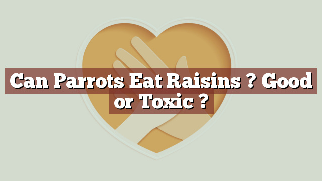 Can Parrots Eat Raisins ? Good or Toxic ?
