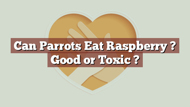 Can Parrots Eat Raspberry ? Good or Toxic ?