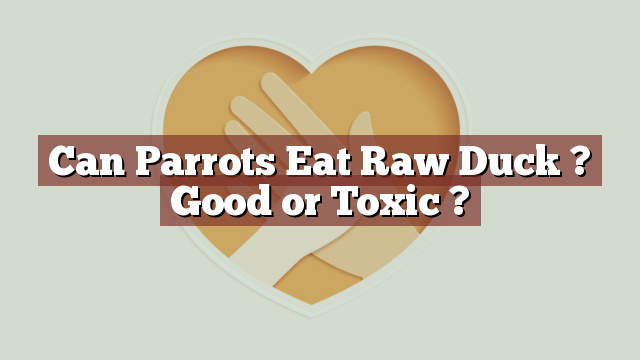 Can Parrots Eat Raw Duck ? Good or Toxic ?