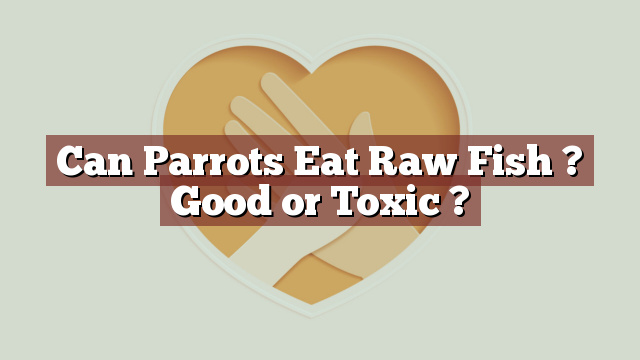 Can Parrots Eat Raw Fish ? Good or Toxic ?