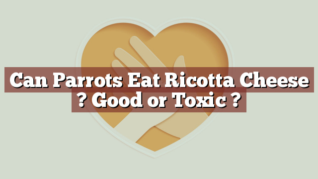 Can Parrots Eat Ricotta Cheese ? Good or Toxic ?