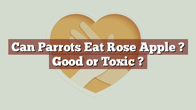 Can Parrots Eat Rose Apple ? Good or Toxic ?