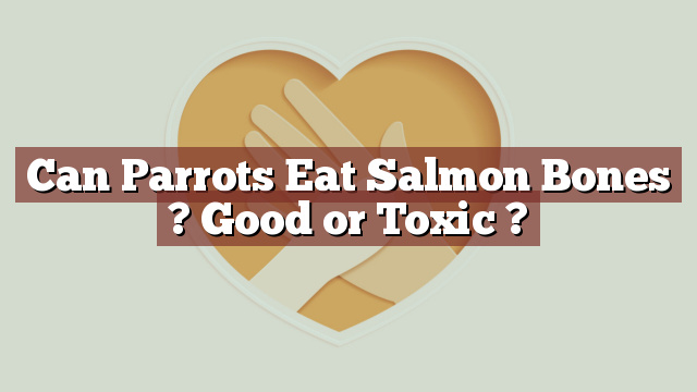 Can Parrots Eat Salmon Bones ? Good or Toxic ?