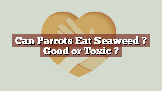 Can Parrots Eat Seaweed ? Good or Toxic ?