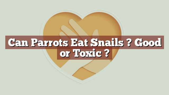 Can Parrots Eat Snails ? Good or Toxic ?