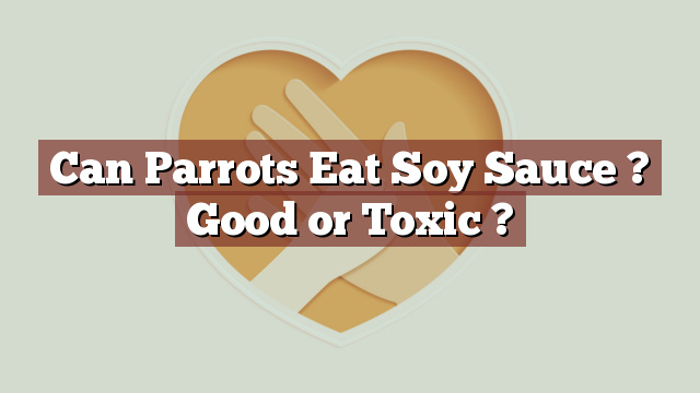 Can Parrots Eat Soy Sauce ? Good or Toxic ?