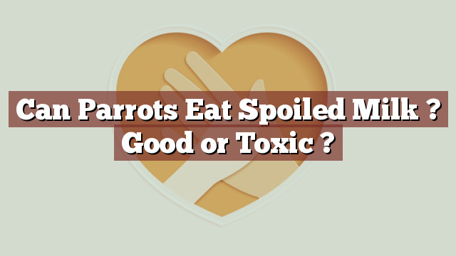 Can Parrots Eat Spoiled Milk ? Good or Toxic ?