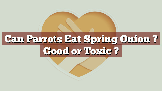 Can Parrots Eat Spring Onion ? Good or Toxic ?