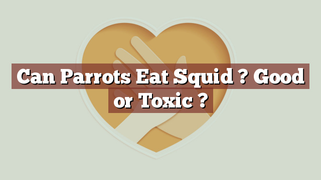 Can Parrots Eat Squid ? Good or Toxic ?