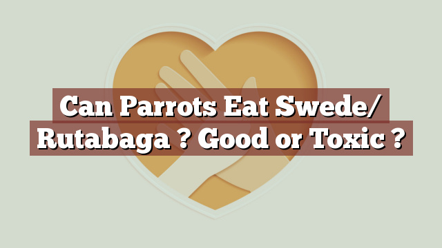 Can Parrots Eat Swede/ Rutabaga ? Good or Toxic ?