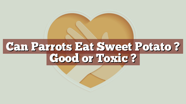 Can Parrots Eat Sweet Potato ? Good or Toxic ?