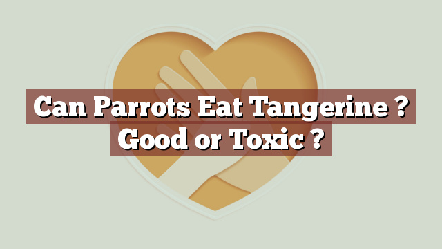 Can Parrots Eat Tangerine ? Good or Toxic ?