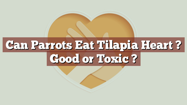 Can Parrots Eat Tilapia Heart ? Good or Toxic ?