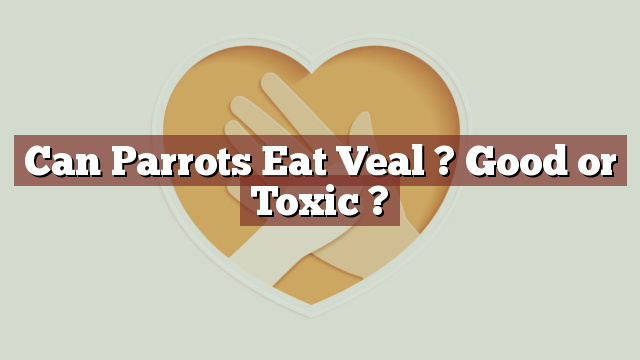 Can Parrots Eat Veal ? Good or Toxic ?