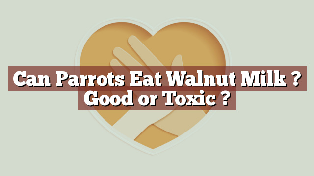 Can Parrots Eat Walnut Milk ? Good or Toxic ?