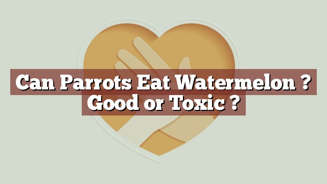 Can Parrots Eat Watermelon ? Good or Toxic ?
