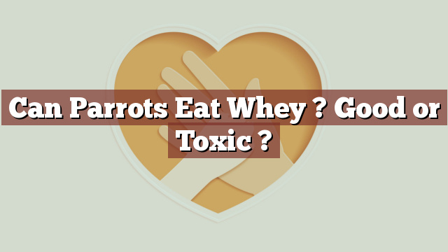 Can Parrots Eat Whey ? Good or Toxic ?