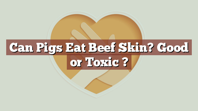 Can Pigs Eat Beef Skin? Good or Toxic ?