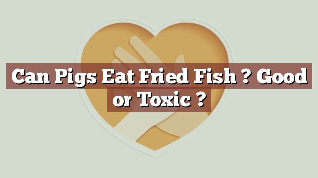Can Pigs Eat Fried Fish ? Good or Toxic ?