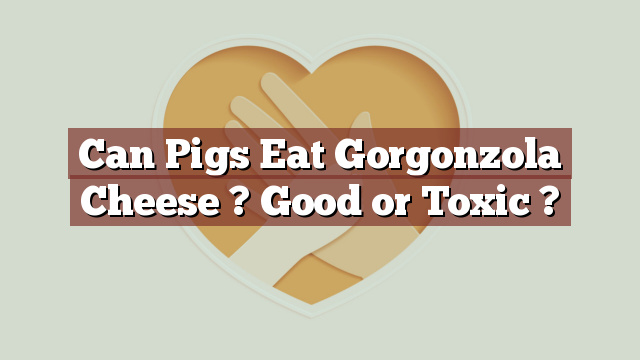 Can Pigs Eat Gorgonzola Cheese ? Good or Toxic ?