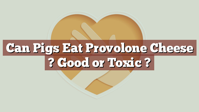 Can Pigs Eat Provolone Cheese ? Good or Toxic ?