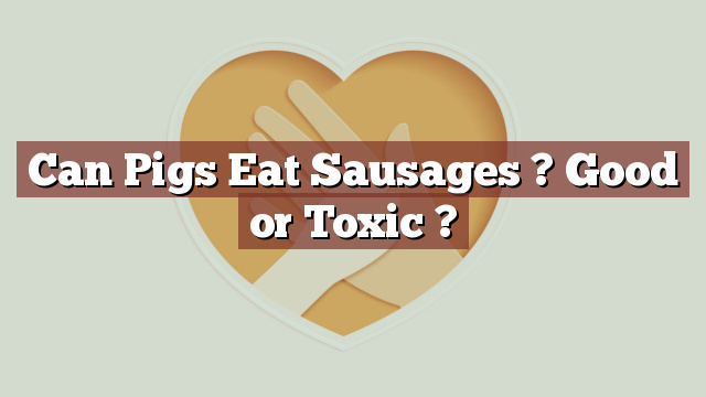 Can Pigs Eat Sausages ? Good or Toxic ?