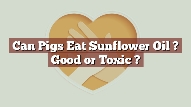 Can Pigs Eat Sunflower Oil ? Good or Toxic ?
