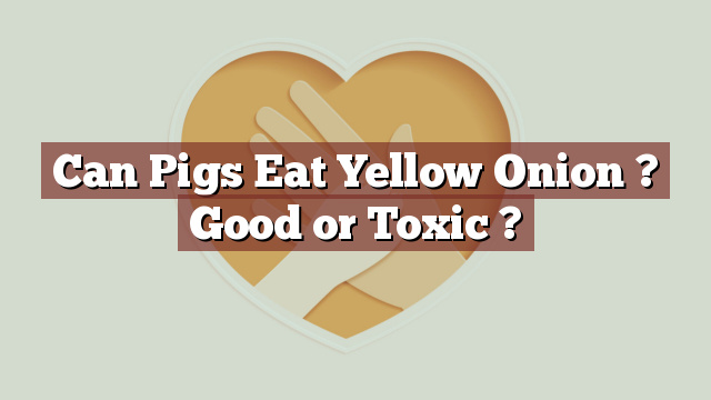 Can Pigs Eat Yellow Onion ? Good or Toxic ?
