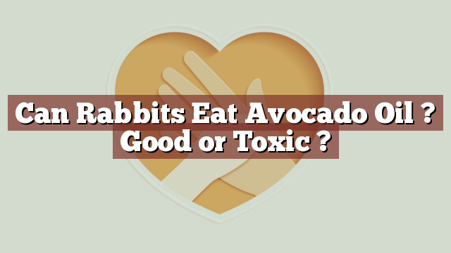 Can Rabbits Eat Avocado Oil ? Good or Toxic ?