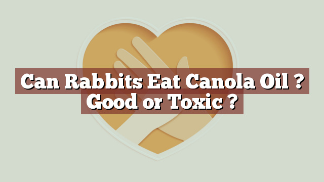 Can Rabbits Eat Canola Oil ? Good or Toxic ?