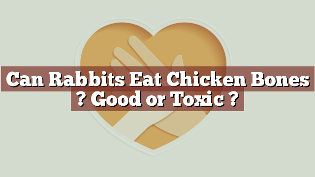 Can Rabbits Eat Chicken Bones ? Good or Toxic ?