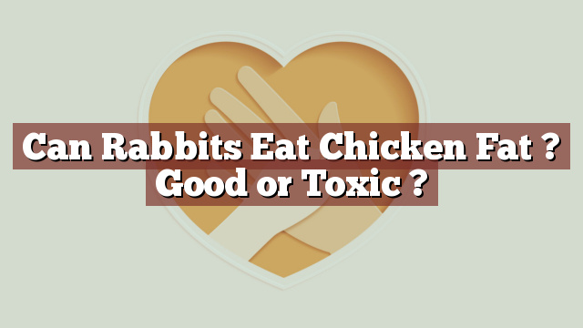 Can Rabbits Eat Chicken Fat ? Good or Toxic ?