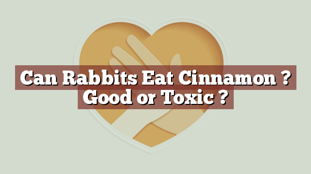 Can Rabbits Eat Cinnamon ? Good or Toxic ?