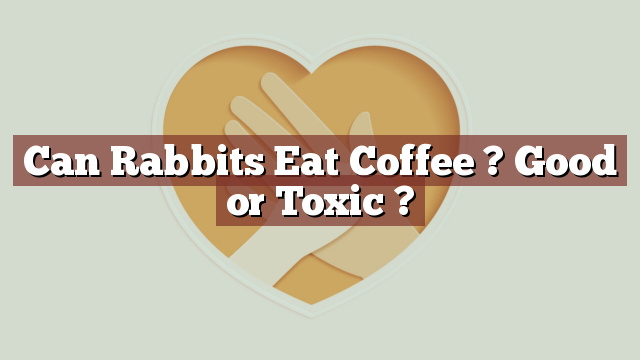 Can Rabbits Eat Coffee ? Good or Toxic ?