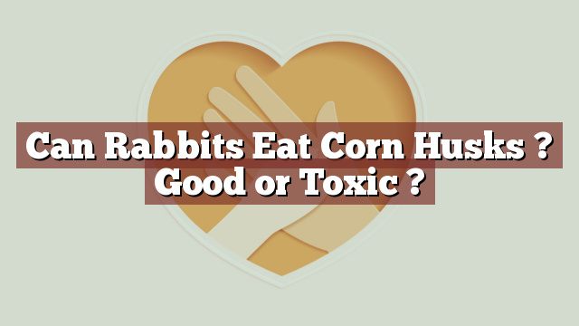 Can Rabbits Eat Corn Husks ? Good or Toxic ?