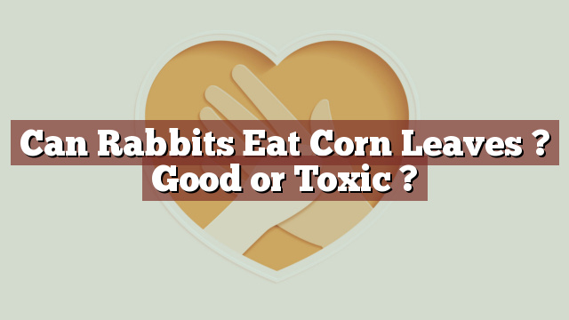Can Rabbits Eat Corn Leaves ? Good or Toxic ?