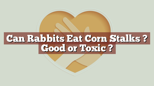 Can Rabbits Eat Corn Stalks ? Good or Toxic ?
